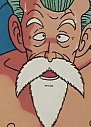 龙珠：龟仙人对战天津饭