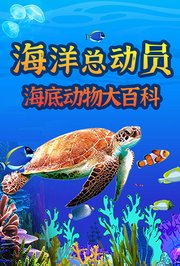 海洋总动员：海底动物大百科