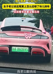 路上偶遇一小米su7，老公说尾翼上怎么还晾了块儿抹布