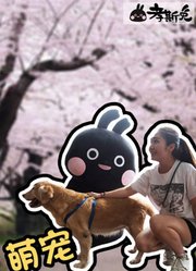 铲屎官内心独白：你负责微笑，我负责拍照