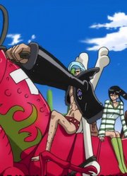 《海贼王》骑上这6种动物，索隆成白马王子，弗兰奇骑着它贼拉风