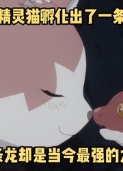 七月新番：一只猫孵化出了一条巨龙，还是当今世界最强的龙皇#猫与龙#