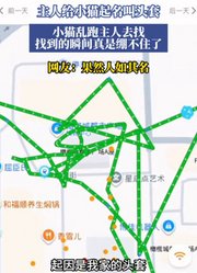 主人给小猫起名叫头套，小猫乱跑主人去找找到的瞬间真是绷不住了