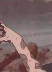 兄弟的情谊鼬和佐助