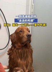 一到洗澡就这样，“淡淡的死感”