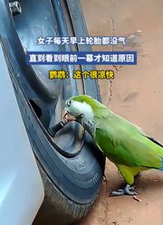 女子每天早上轮胎都没气，直到看到眼前一幕才知道原因