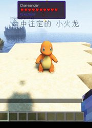 “被抛弃的小火龙最终遇到了小智”