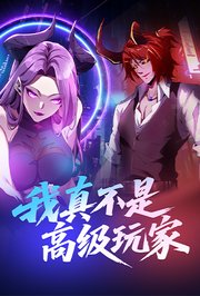 我真不是高级玩家