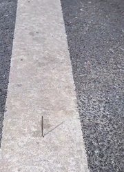 鲁米的善良不会随着时光而改变