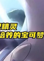 战斗吧精灵中后期最值得培养的宝可梦#战斗吧精灵#宝可梦
