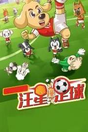 汪星撞足球