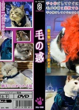 梦塔雪谜城