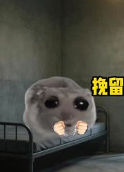 深夜牢房里响起了熟悉的歌声#猫meme#