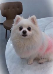 鲁米移情别恋了吗？#kpop