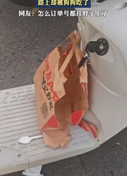 男子买了汉堡回家，路上却被狗狗吃了。