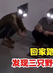 回家的路上发现，三个野生奥特曼，该怎么办？