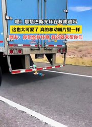 那是巴斯光年在救胡迪吗，这也太可爱了，真的和动画片里一样。