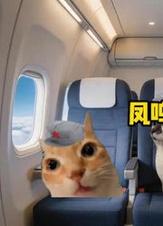 当你在飞往日本的飞机上唱这首歌#猫meme##牢记历史#