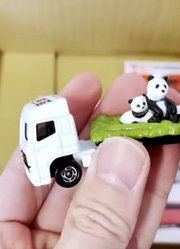 愉快地开封和介绍排列好的各种迷你车