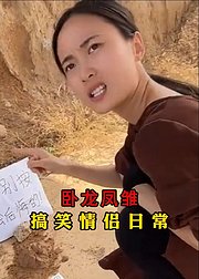 卧龙凤雏
