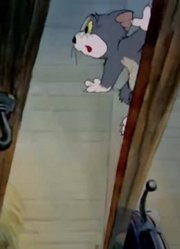 怎么之前没早看《猫和老鼠高清版》可爱的朋友，拍的太牛了