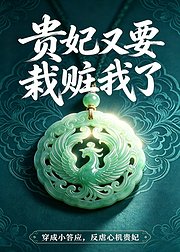 贵妃又要栽赃我了