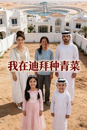 我在迪拜种青菜