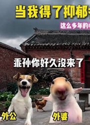 当我得了抑郁症回到外婆家后#猫meme小剧场#