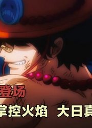 烧烧果实粉墨登场，火焰元素绝对掌控，燃烧吧~大日之魂！