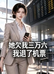她欠我三万六我退了机票