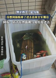 男子养了一缸乌龟，没想到插板掉了进去直接全军覆没。