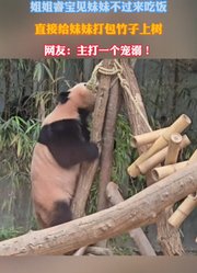 睿宝见妹妹不过来吃饭，直接给妹妹打包竹子上树！