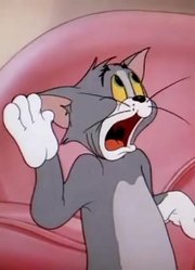 猫和老鼠波尔卡圆点猫汤姆一