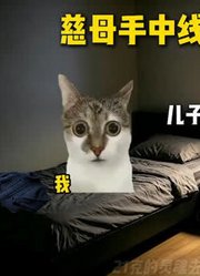 慈母手中线游子身上衣#猫meme#