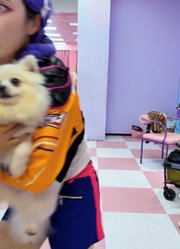 鲁米对小狗的担忧！#kpop