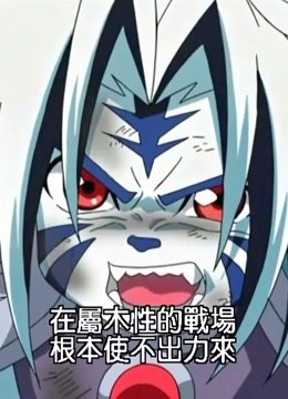阴阳大战记04国语