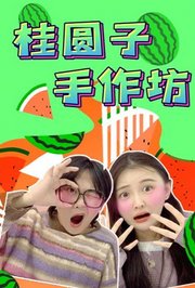 桂圆子手工坊