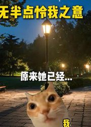 当我发现不舍之人无半点怜我之意