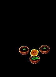 我家小孩最近迷上了《植物大战僵尸动画版》，到底有什么好玩的