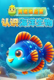 黄墩墩启蒙：认识海洋生物