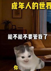 成年人的世界没有谁过的轻松#猫meme#