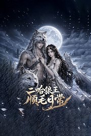 二哈狼王顺毛日常