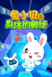 兔小贝之身体的奥秘