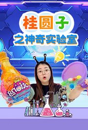 桂圆子之神奇实验室