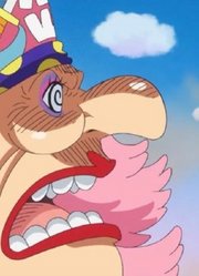 海贼王：这几颗恶魔果实虽强，弱点却同样明显，不存在无敌的能力