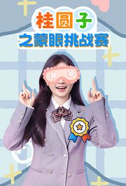 桂圆子之蒙眼挑战赛