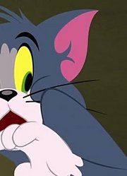 终于看完了《猫和老鼠新版》，拍的太牛了