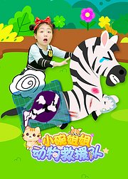 小碗姐姐动物救援队