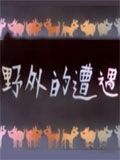 野外的遭遇
