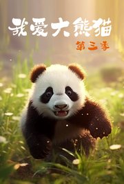 我爱大熊猫第3季